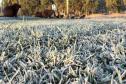 Com -7,8°C, quarta-feira teve menor temperatura do ano no Paraná e geada na Capital