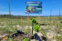 IAT estabelece parceria com a UFPR Litoral para projeto de conservação da restinga