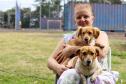 CastraPet vai estrear em 84 municípios do Paraná durante o 5º ciclo