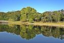 Jardim Botânico de Londrina será revitalizado pelo Governo do Estado