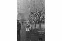 Há 50 anos, Curitiba ficava toda branca: Simepar explica o fenômeno da neve de 1975