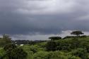 Após domingo marcado por chuva e ventos de mais de 70 km/h, frio vai voltar ao Paraná