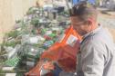Com índice de 56,8%, Paraná é o estado que mais recicla embalagens de vidro