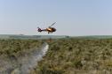 IAT promove restauração ambiental do Parque do Cerrado por meio da queima controlada