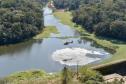 IAT promove restauração ambiental do Parque do Cerrado por meio da queima controlada