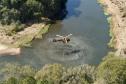IAT promove restauração ambiental do Parque do Cerrado por meio da queima controlada