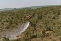 IAT promove restauração ambiental do Parque do Cerrado por meio da queima controlada