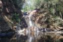 Natureza em Mato Rico (PR)