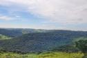 Natureza em Mato Rico (PR) 