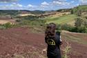 IAT aplica R$ 2,9 milhões em multas ambientais durante a Operação Mata Atlântica em Pé