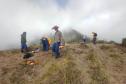 Ação do IAT e Iniciativa Campos Gerais limpa 15 hectares do Parque Pico Paraná