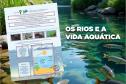 Estado amplia acervo de materiais didáticos com novas cartilhas de educação ambiental