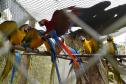 Guardiões da Fauna: IAT promove ação de educação ambiental no Parque das Aves