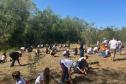 Ação de educação ambiental organizada pelo IAT estimula a troca de roupas infantis e brinquedos novos ou em bom estado por mudas de espécies nativas