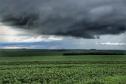 Cavado meteorológico traz chuva de volta ao Paraná e na sexta tempo segue instável