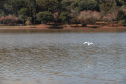 IAT emite licença ambiental para revitalização do Território Verde em Cascavel