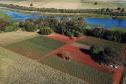 Paraná tem planos estratégicos para agricultura sustentável, segurança hídrica e descarbonização