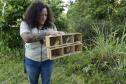Técnicos do Instituto Água e Terra (IAT) fizeram a soltura de seis pássaros no Litoral do Paraná