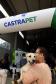 CastraPet leva saúde e bem-estar a cães e gatos da Região Metropolitana de Curitiba