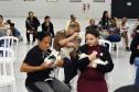 CastraPet leva saúde e bem-estar a cães e gatos da Região Metropolitana de Curitiba