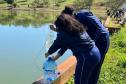 Dia Mundial da Água: projetos de educação ambiental ganham força nas escolas do Paraná