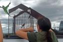 Operação integrada entre IAT e Polícia Civil resgata 42 aves de cativeiro em Assis Chateaubriand 