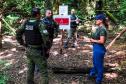 IAT e Polícia Militar multam 15 pessoas por acesso irregular ao Pico Paraná em um dia