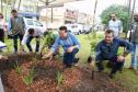 Governo promove soltura de peixes e plantio de árvores no Interior