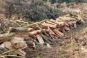 IAP apreende madeira de corte ilegal de vegetação nativa
