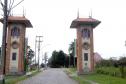 Rota do Pinhão oferece diversidade de atrações turísticas
