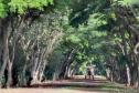 Turismo rural conquista visitantes em diversas regiões do Estado