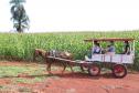Turismo rural conquista visitantes em diversas regiões do Estado