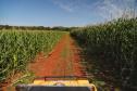 Turismo rural conquista visitantes em diversas regiões do Estado
