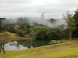 Jardim Botânico de Londrina