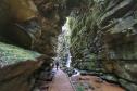 Campos Gerais têm natureza, tropeirismo e cultura europeia