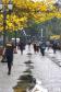 Primavera começa com temperatura amena e sem chuva no Paraná
