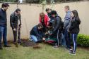 Paraná Mais Verde planta 413 mil árvores nativas