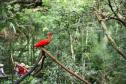 10 lugares imperdíveis para conhecer no Paraná