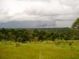 Paraná ganha quatro novas áreas de uso sustentável