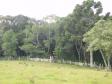 Paraná ganha quatro novas áreas de uso sustentável