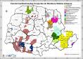 Mapa das Destinações Conjuntas dos Resíduos Sólidos Urbanos no Estado do Paraná.