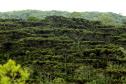 Agricultores vão começar a receber recursos por conservação ambiental