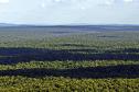 Parque Nacional do Iguaçu, Foz do Iguaçu, Paraná, Brasil, fotos ilustrativas sobre mudanças climáticas no Paraná.//foto Denis ferreira Netto.
