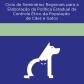 Seminário debate controle ético de cães e gatos
