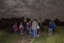 Passeio noturno no Parque Estadual da Vilha Velha. Ponta Grossa, 30/05/2015. Foto: Pedro Ribas/ANPr