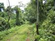 Parque Estadual Rio Guarani, em Três Barras do Paraná.Foto: Divulgação