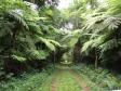Parque Estadual Rio Guarani, em Três Barras do Paraná.Foto: Divulgação