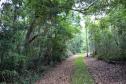 Parque Estadual Rio Guarani, em Três Barras do Paraná.Foto: Divulgação