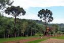 Parque Estadual Rio Guarani, em Três Barras do Paraná.Foto: Divulgação