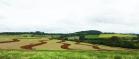 Programa de Gestão de Microbacias no município de Dois Vizinhos: Manejo adequado do solo garante maior produtividade nas lavouras.Foto: SEAB/Reg Dois Vizinhos